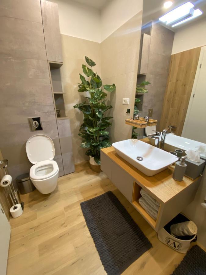 Art'Penthouse Aparthotel Braşov Exteriör bild